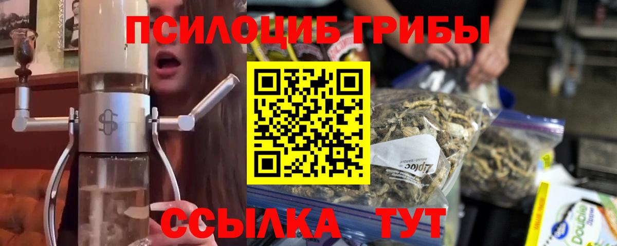 Псилоцибиновые грибы Psilocybine cubensis  Вход с VPN  Крымск 
